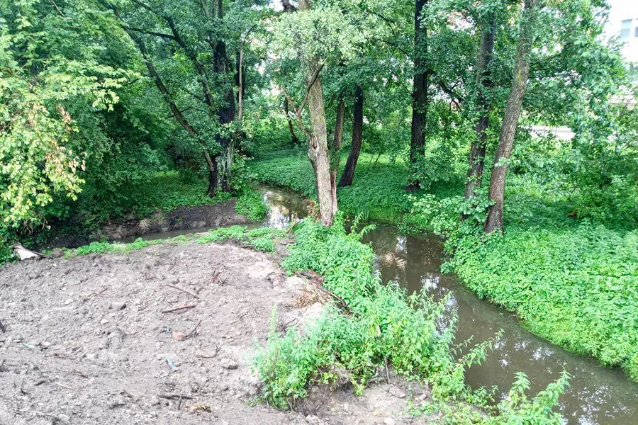 Русло реки Товарной планируют расчистить за 292 млн рублей