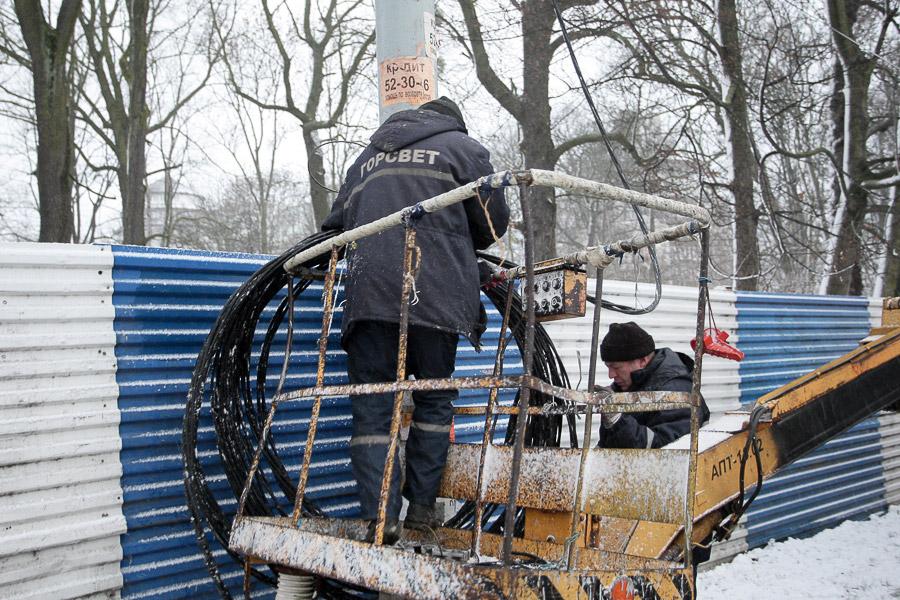 В Калининграде упавшее во время урагана дерево заблокировало движение по ул. Невского (фото)  