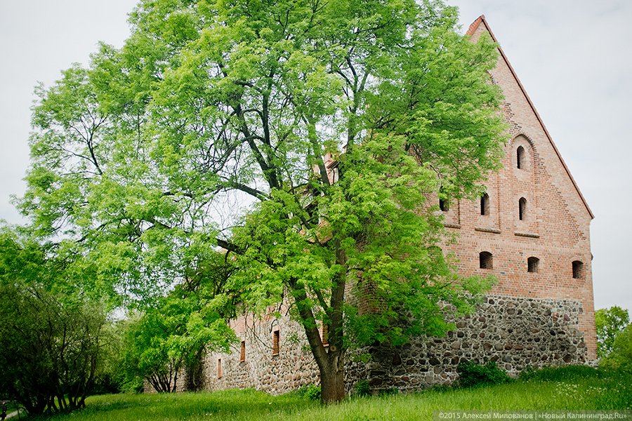 Правительство Калининградской области решило продать замок XIV века