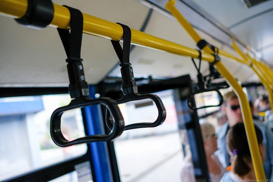 Автобус с розеткой: как в Калининграде испытывают новый вид транспорта