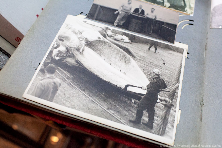 Денис Туголуков / Новый Калининград