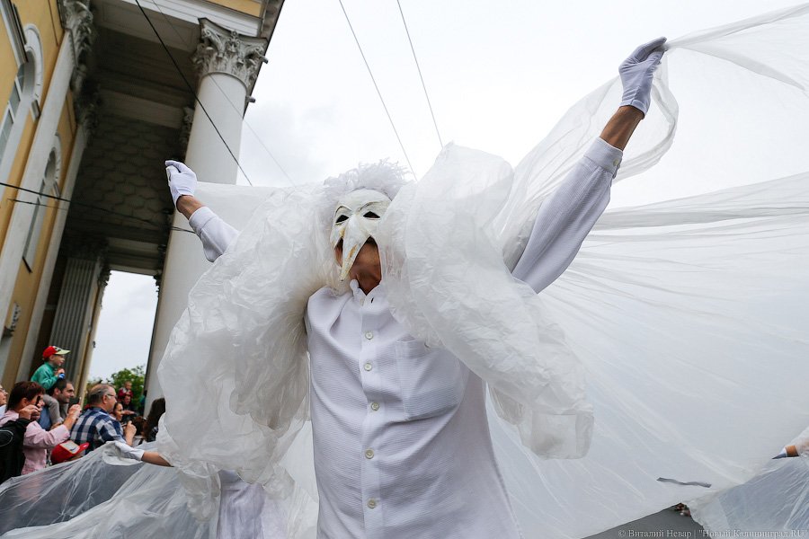 Все при параде: пешеходная зона Калининграда в День города (фото)