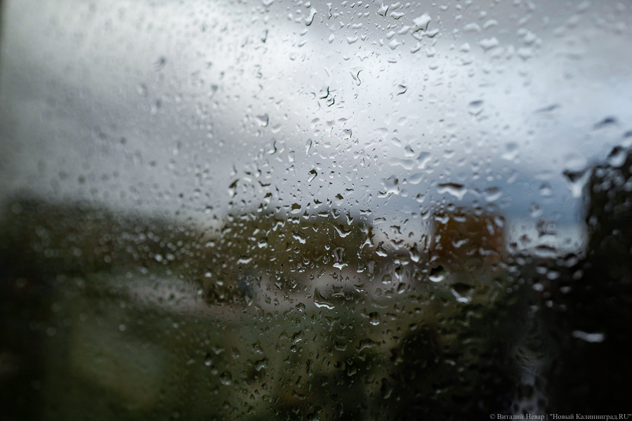 Калининградцам обещают дожди всю предновогоднюю неделю