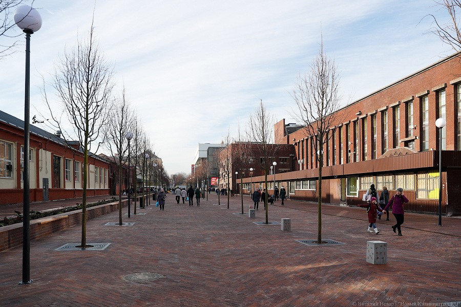 Горвласти договорились с Центральным рынком отключить громкую звуковую рекламу