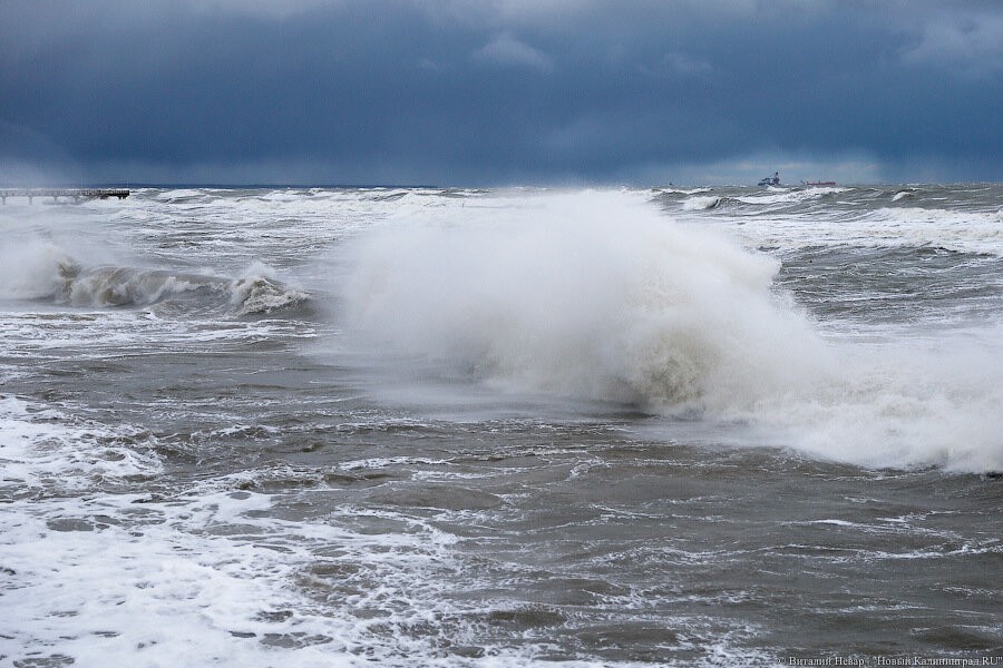 Рано утром в Балтийске скорость штормового ветра составила 25 м/с