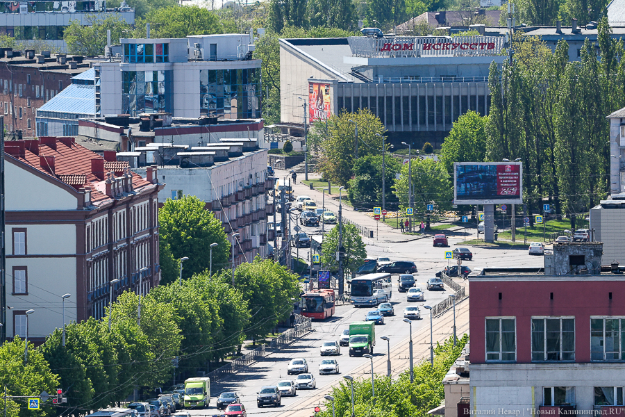 Власти рассказали, почему в Калининграде «пахло навозом»