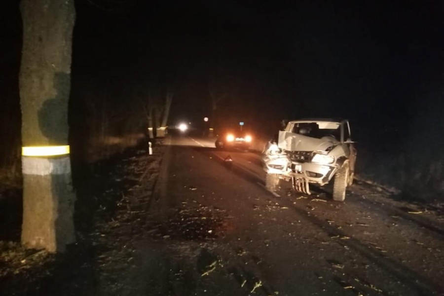 Под Гурьевском «УАЗ» врезался в дерево, пострадали двое (фото)