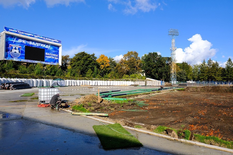 Огород вместо поля: что происходит со стадионом «Балтика» прямо сейчас (фото)