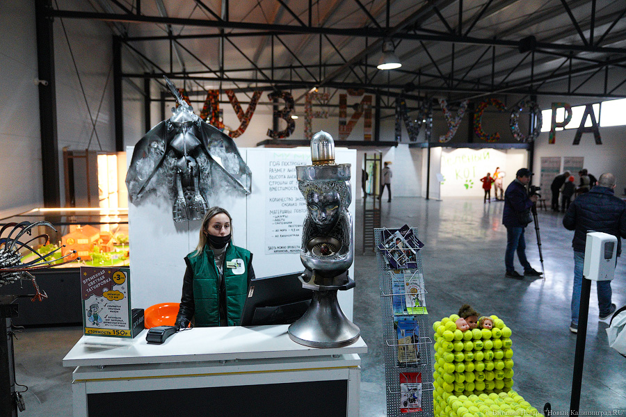 Ничего невозможного: под Калининградом открылся Музей мусора (фото)