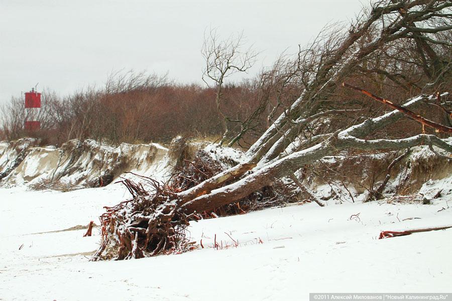 «Нацпарк штормового периода»: фоторепортаж «Нового Калининграда.Ru»