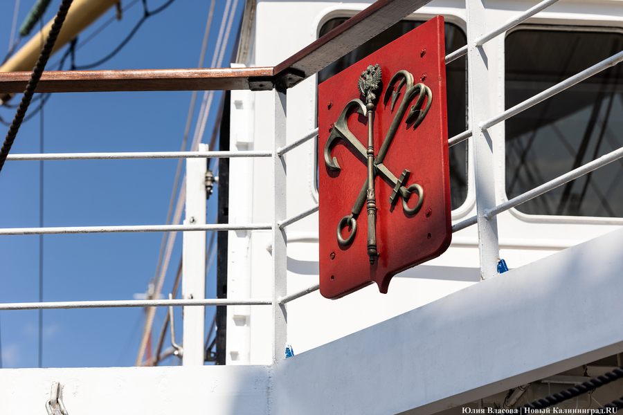 Верёвки, мачты, моряки: в Калининграде открылся фестиваль «Паруса Мира» (фото)