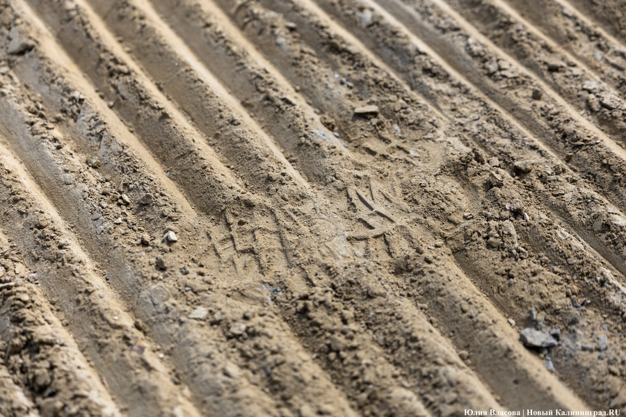 Первые за 15 лет: в Погранслужбу ФСБ призвали срочников из пяти регионов (фото)