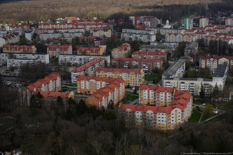 Виталий Невар / Новый Калининград