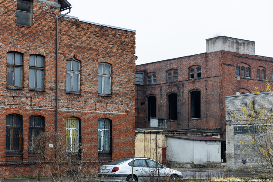 Постапокалиптический пейзаж: что происходит с территорией бывшего ЦБЗ-1 (фото)