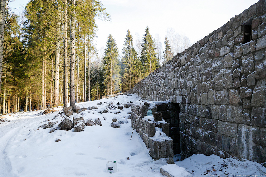 Закон и Геринг: прокуратура нашла нарушения в Виштынецком парке