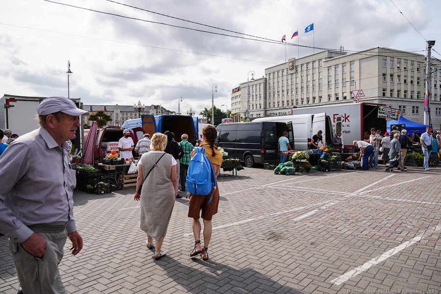 Базар-вокзал: как проходит сельхозярмарка на площади Победы в Калининграде