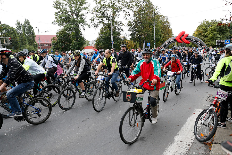Тур до Кранца: как в Калининграде финишировал велосезон