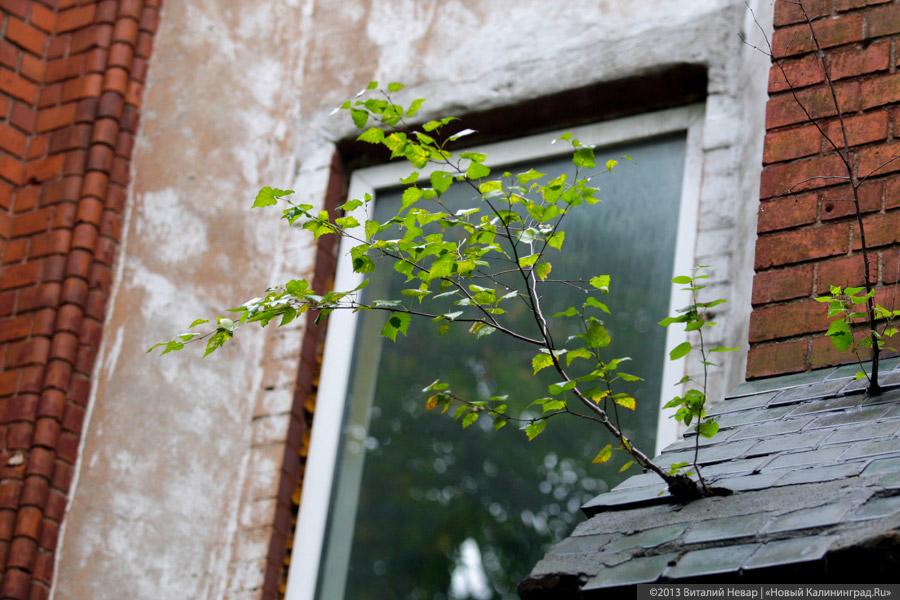 Храм науки: ученые филиала РАН, находящегося в кирхе Св. Адальберта, боятся выселения