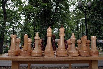 Госрезиденция в Пионерском покупает два набора шахмат за 366 тысяч