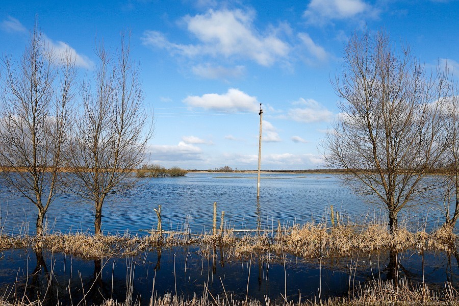Правительство пообещало области 4 млрд рублей на мелиорацию