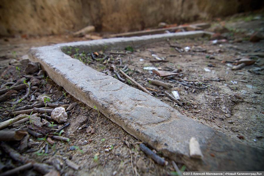 «Фрески и аисты»: вокруг кирхи в посёлке Кумачево идёт судебная тяжба