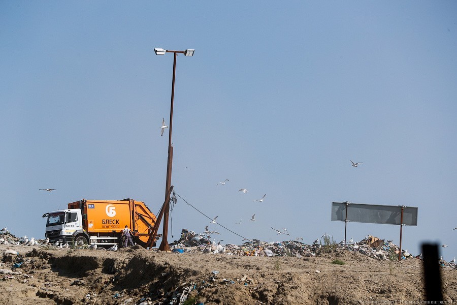Главный мусорный полигон Калининградской области оказался существенно переполнен