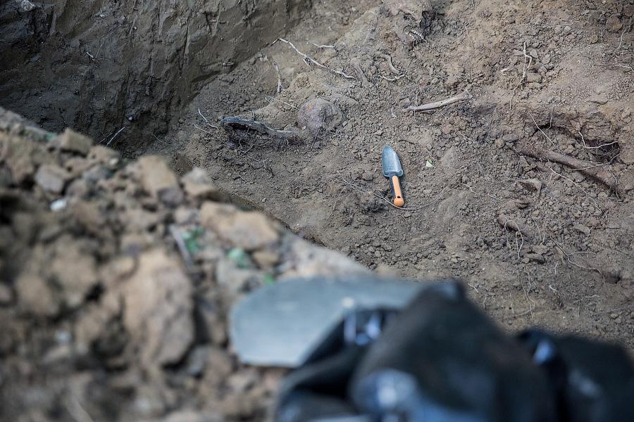 По следам мародёров: в Багратионовском районе поисковики перезахоранивают советских солдат