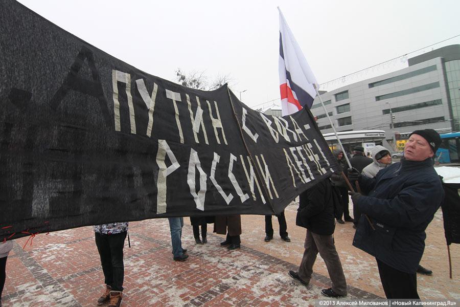 «Дура и молодец»: фоторепортаж с «альтернативного» пикета против «закона Димы Яковлева»