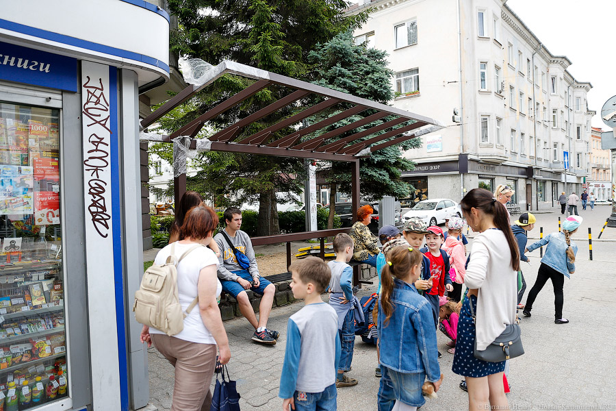 Минздрав хочет ограничить курение вейпов в общественных местах