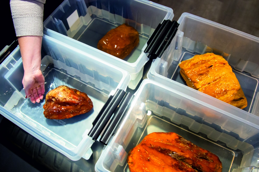  На Янтарном комбинате искупали самородки (фото)