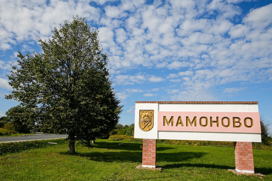 СК: в Мамоново мужчина избил до смерти знакомого, поспал и пошел в полицию 