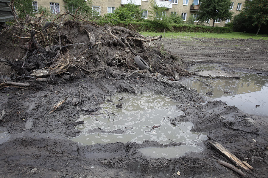 В Калининграде разрешили вырубить 324 дерева ради строительства детсада