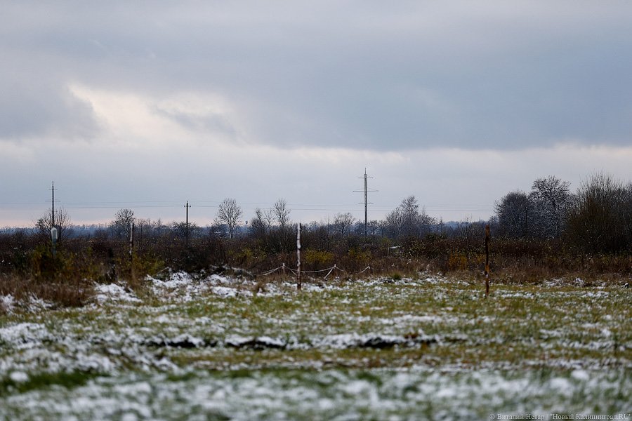 ЛЭП над головой: через дом многодетной семьи ведут электричество в «Храброво»