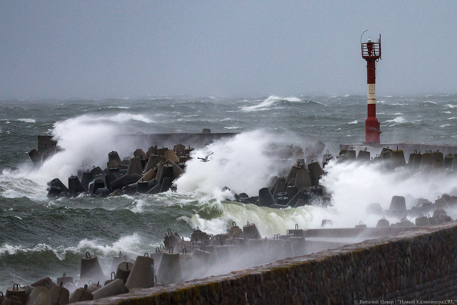 Что нам ветер: фоторепортаж из штормового Балтийска (фото)
