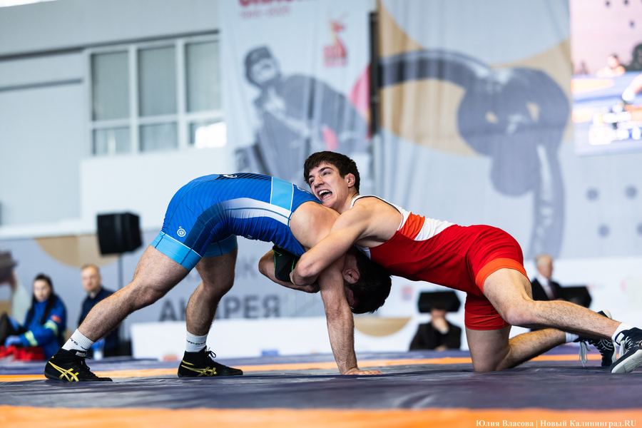 На пределе сил: в Калининграде прошел турнир по борьбе на Кубок Андрея Шумилина (фото)