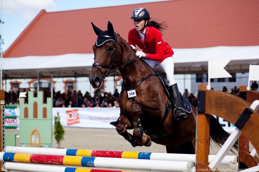 «Кубок президента РФ для немцев»: фоторепортаж с турнира по конкуру в Георгенбурге