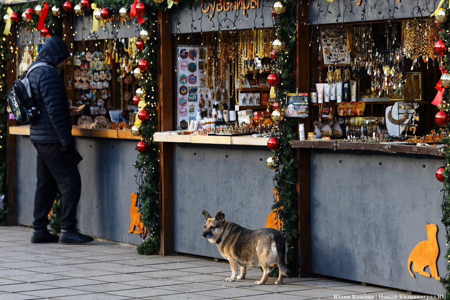 Погода в Калининградской области 29 декабря 