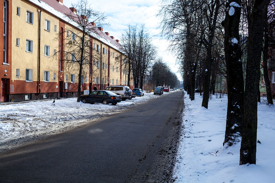 Преображение «Павлика»: что ждет многострадальную улицу во время и после ремонта (фото)