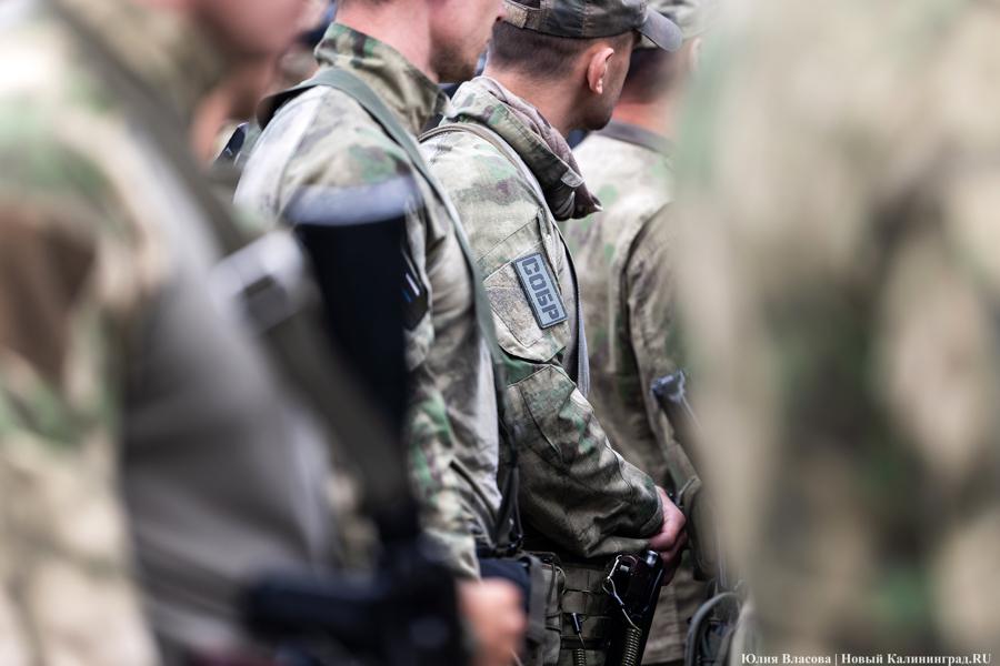 Таможенный спецназ: как проходит чемпионат по служебному двоеборью в Калининградской области (фото)