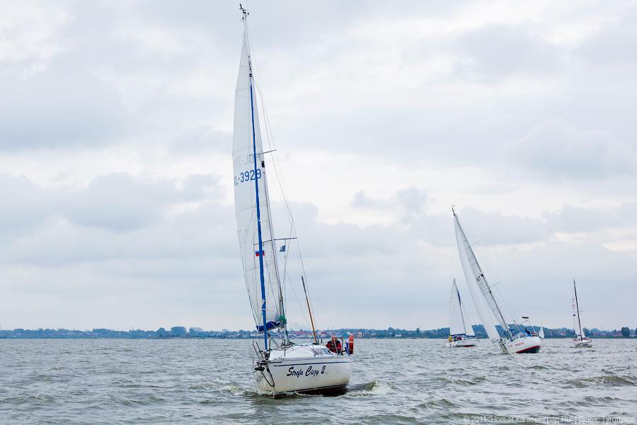 "Гонки под парусами": фоторепортаж "Афиши Нового Калининграда.Ru"