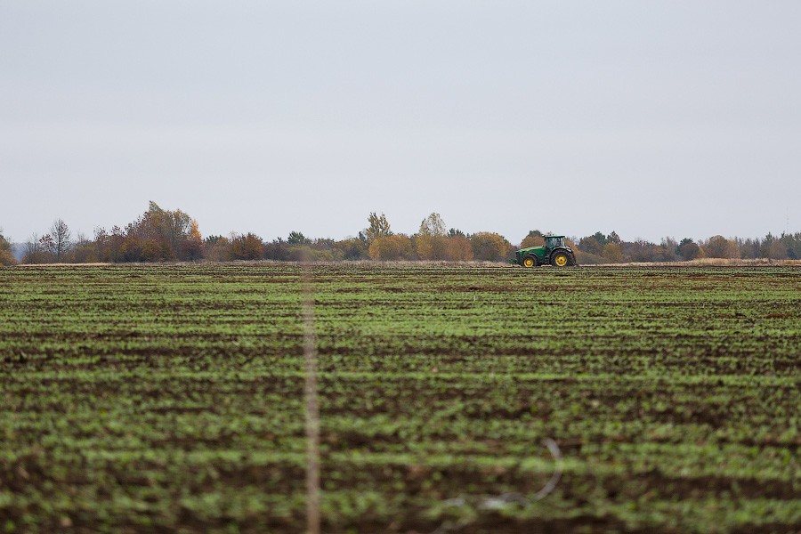 Россельхознадзор разрешил ввозить продукты двух предприятий Белоруссии