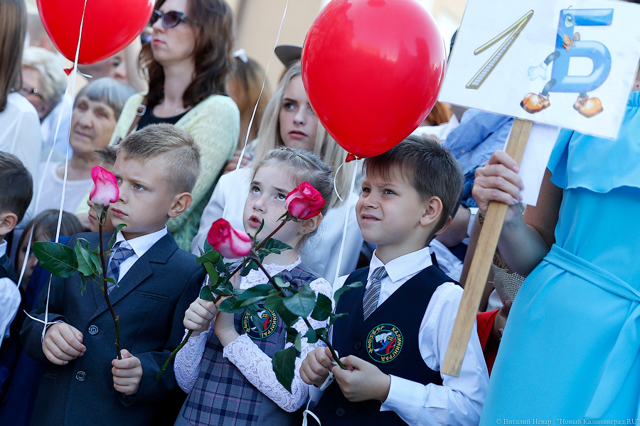 В окружении странных зверей: первая линейка в новой гимназии с первыми лицами