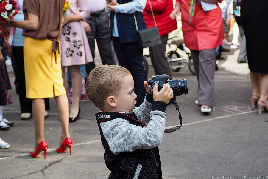 Банты, цветы, печальные дети: 1 сентября в Калининграде (фото)
