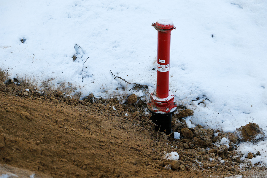 Незаповедная зона: кто застраивает природный парк «Виштынецкий»