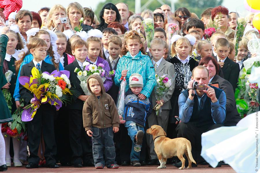 "Новые стандарты и старые методы": репортаж "Нового Калининграда.Ru"