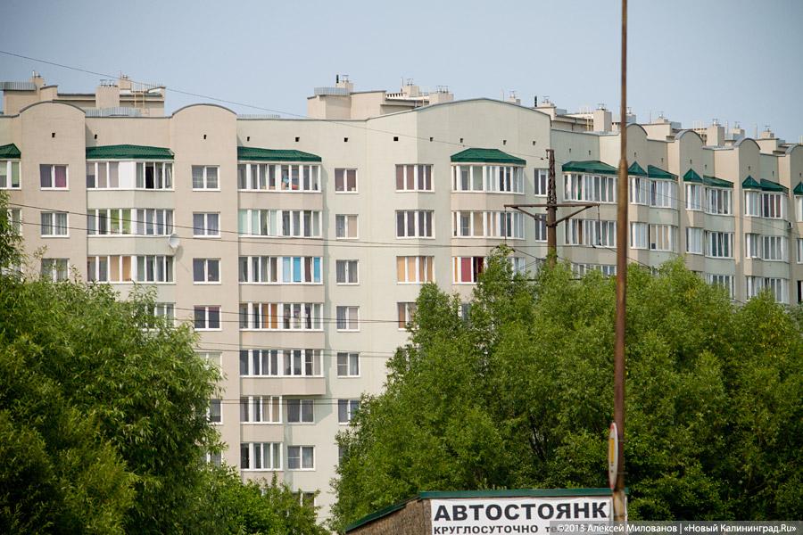 Фото — Алексей Милованов, «Новый Калининград.Ru»