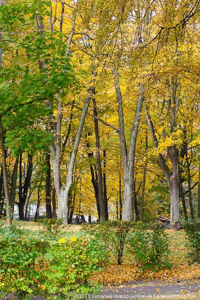 Днём совсем не страшно: осенний Балтийский парк