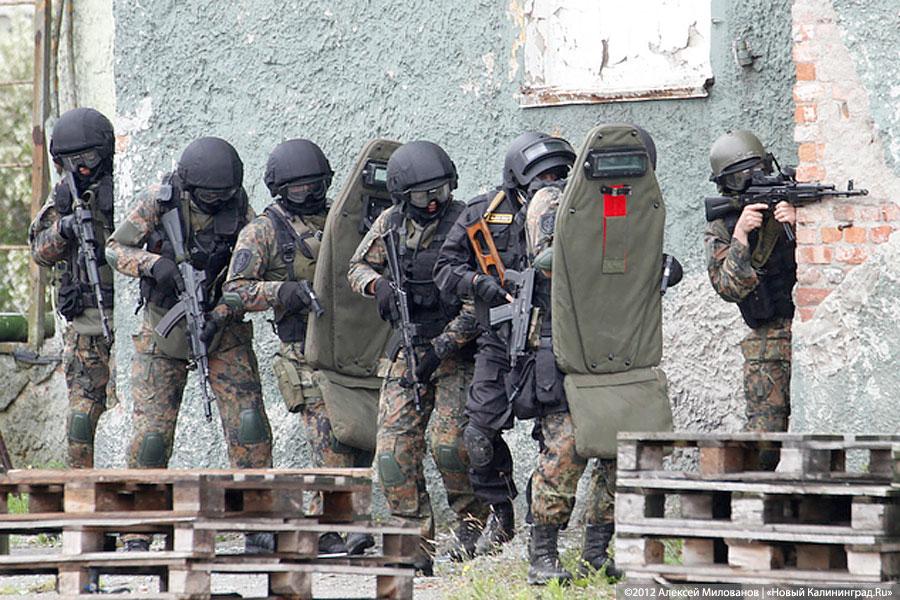 «Под флагом Башара»: фоторепортаж с антитеррористических учений