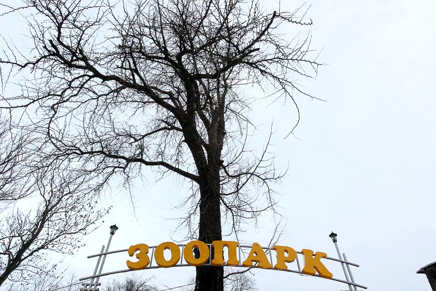 Фото — Виталий Невар, «Новый Калининград.Ru».
