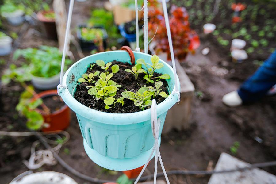 «Боосбан нас отрезал»: жизнь поселка Матросово рядом с Приморским кольцом